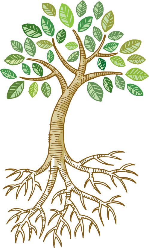 Tree illustration