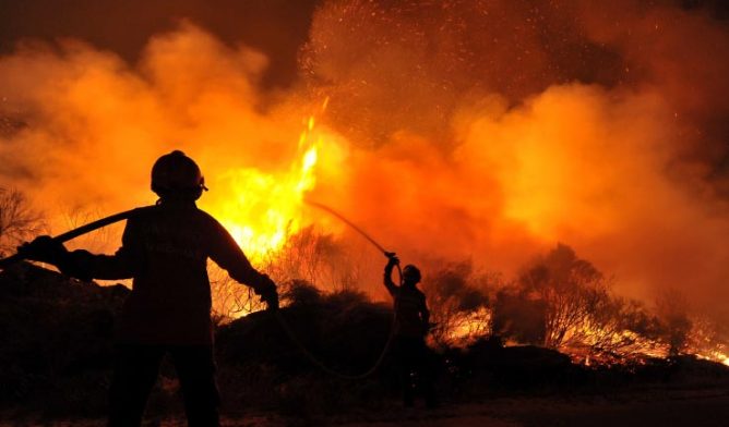 Firefighters extinguishing brush fire