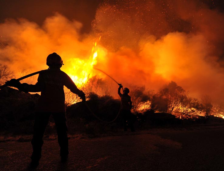Firefighters extinguishing brush fire Firefighters extinguishing brush fire