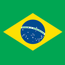 Brazil's flag