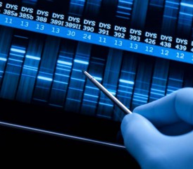 Examining DNA sequence