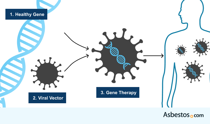 Diagram of gene therapy.
