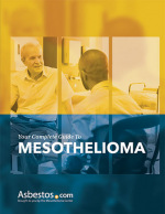 Mesothelioma guide cover page