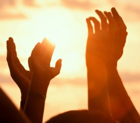 Hands raised in the air. Hands raised in the air.
