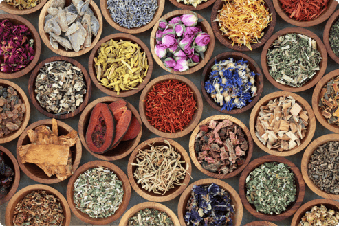 ingredients commonly used in herbal medicine