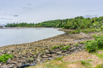 Shoreline of the Duwamish waterway