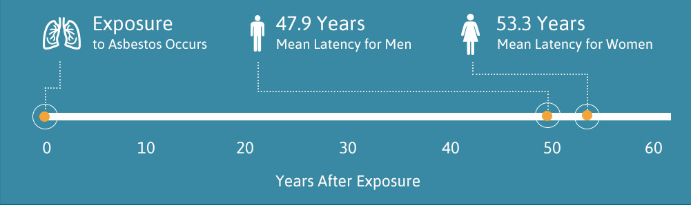 mesothelioma latency period diagram showing mean latency for men is 47.9 years and 53.3 years for women.
