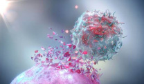 3D Rendering of a Natural Killer Cell (NK Cell) destroying a cancer cell