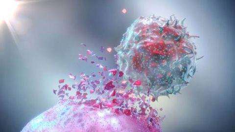 3D Rendering of a Natural Killer Cell (NK Cell) destroying a cancer cell