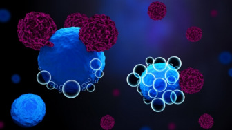 Graphic showing T cells attacking cancer cells