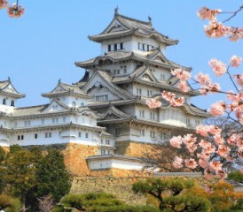 Japanese palace with cherry blossoms