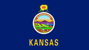 Kansas State Flag