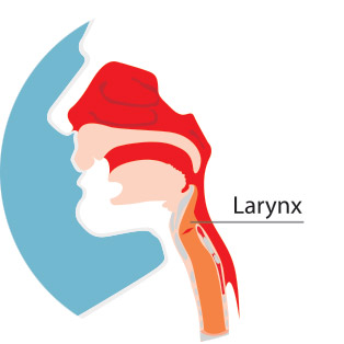 Larynx Icon