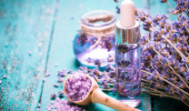 Lavender is one of a number of medicinal plants that may potentially help with anxiety