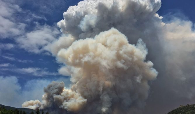 Libby forest fire