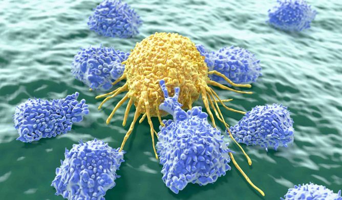 Lymphocytes attacking cancer cell