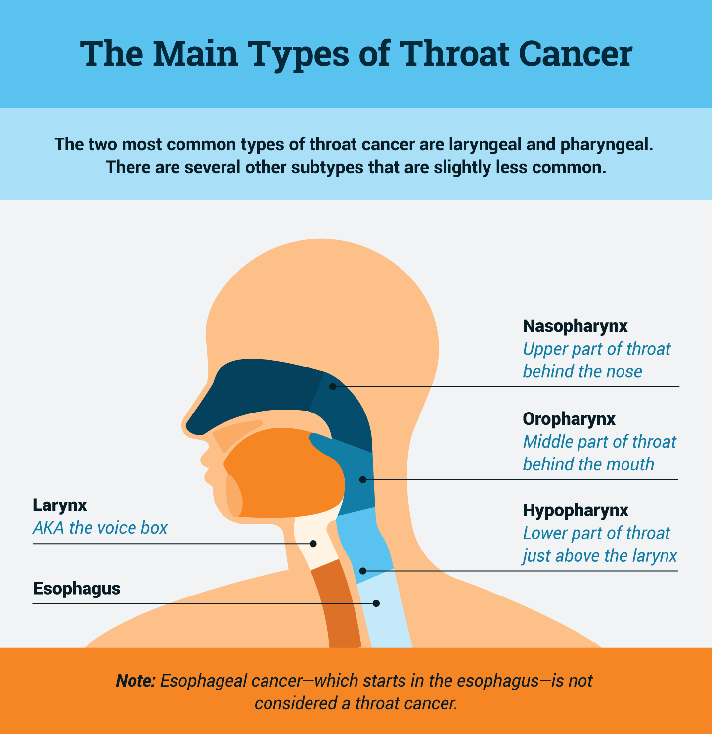 Primary types of throat cancer