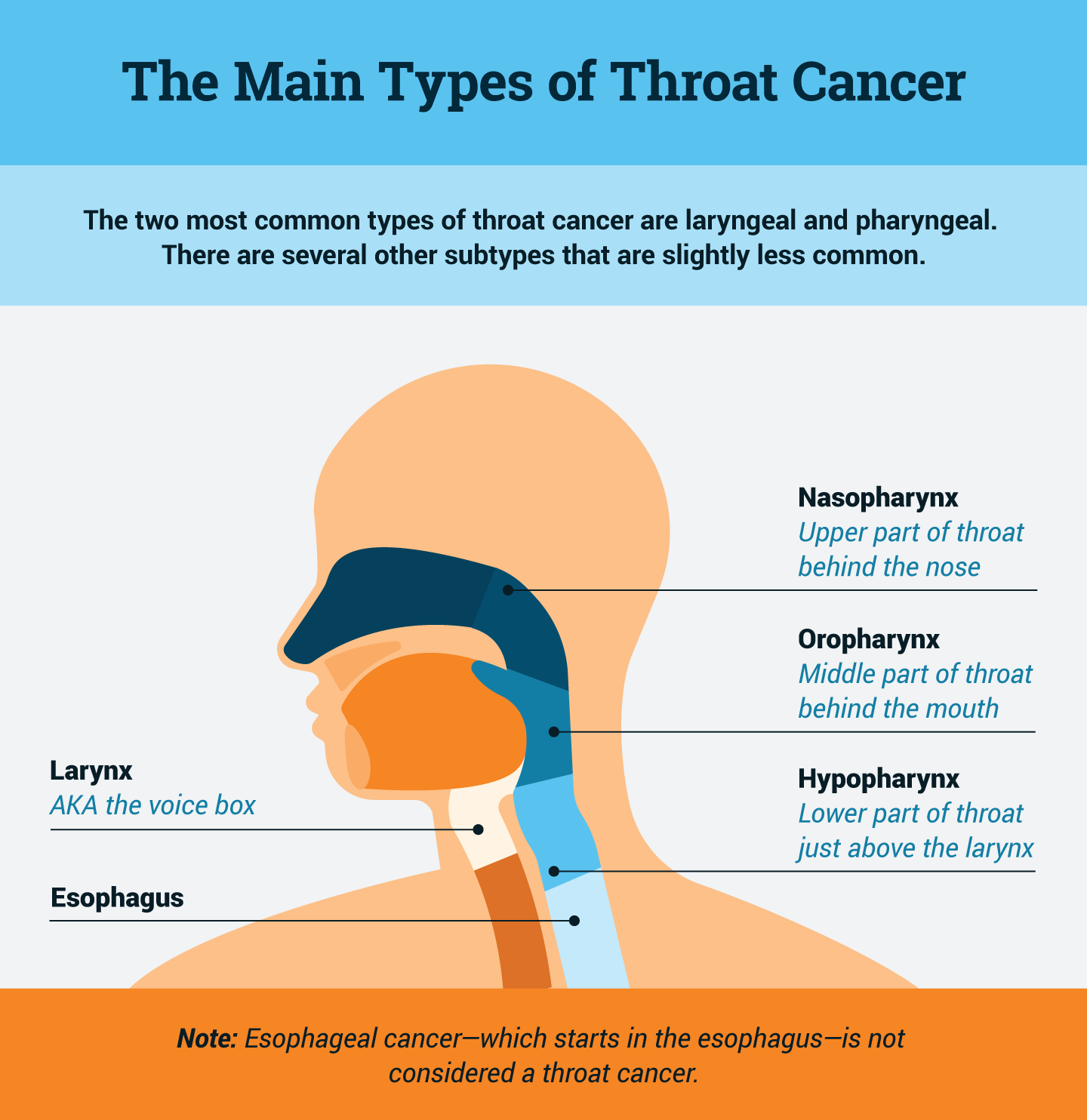 Early Throat Cancer Treatment 