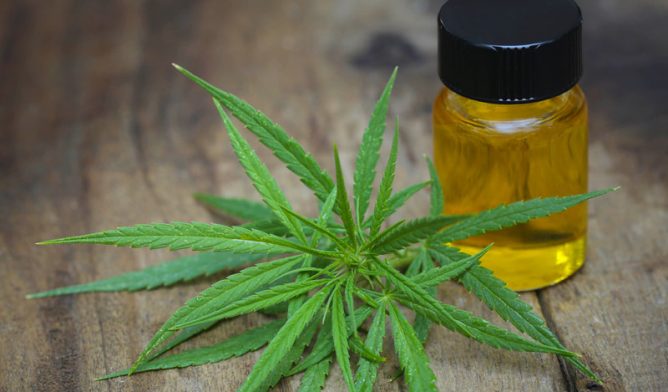 Medical marijuana with extract oil