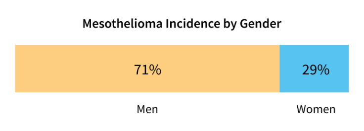 Bar graph displaying mesothelioma incidence by gender.