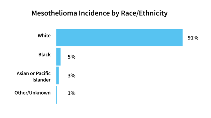 Bar graph displaying mesothelioma incidence by race/ethnicity.