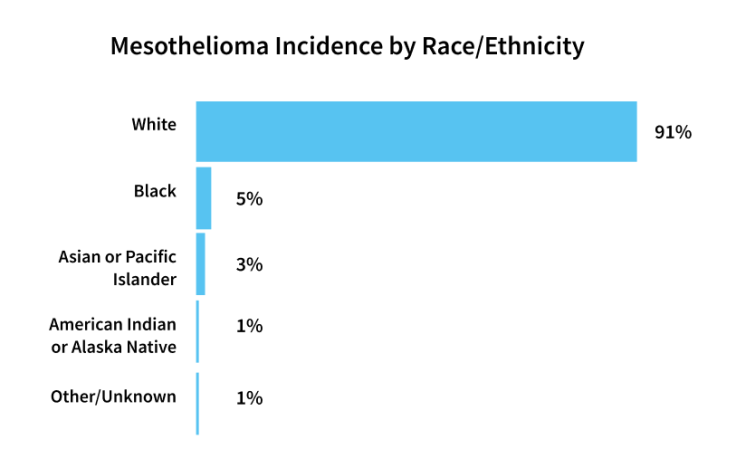 Bar graph displaying mesothelioma incidence by race/ethnicity.