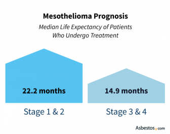 Average mesothelioma prognosis with treatment