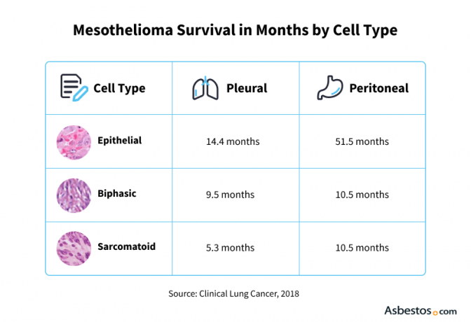 Mesothelioma survival rate in months by cell type.