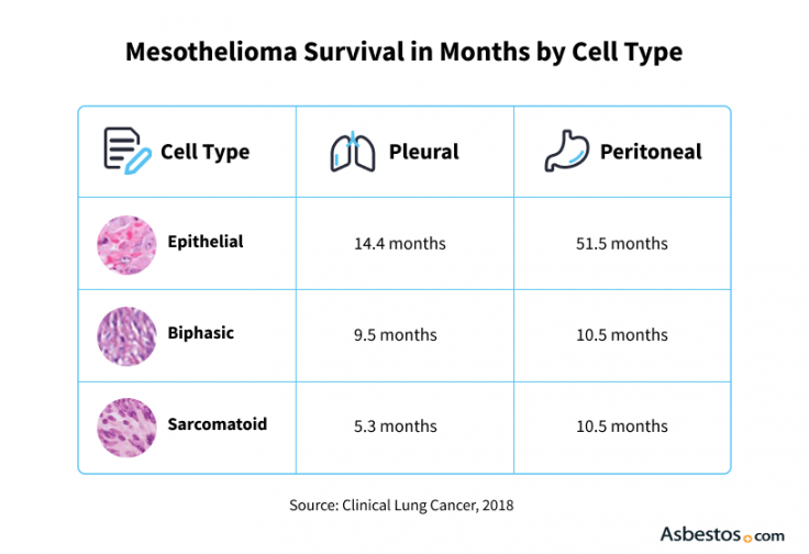 Mesothelioma survival rate in months by cell type.