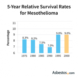 Mesothelioma Survival Rates