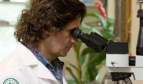 Dr. Michele Carbone