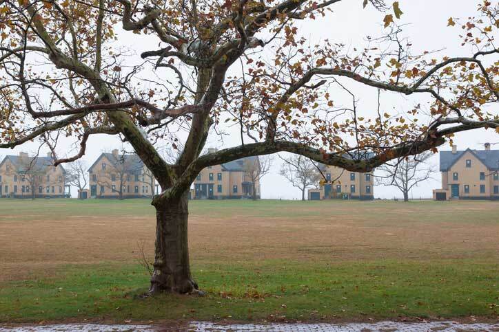 old military base housing in open field