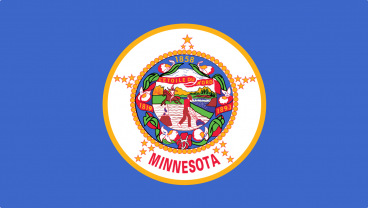 Minnesota State Flag