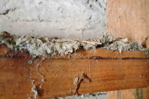 Mr. Fluffy asbestos insulation behind a wall on a wooden beam