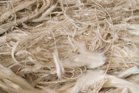 Natural asbestos fibers