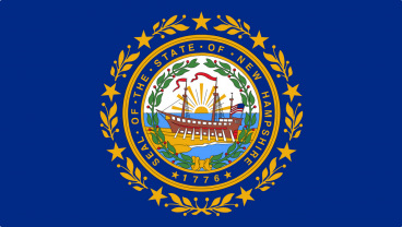 New Hampshire State Flag