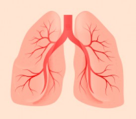 Graphic of lungs
