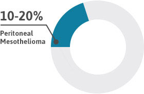 Diagram showing that peritoneal mesothelioma accounts for 10 to 20 percent of all mesothelioma cases