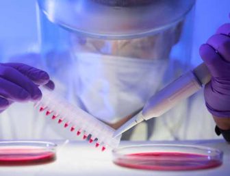 Researcher with petri dishes