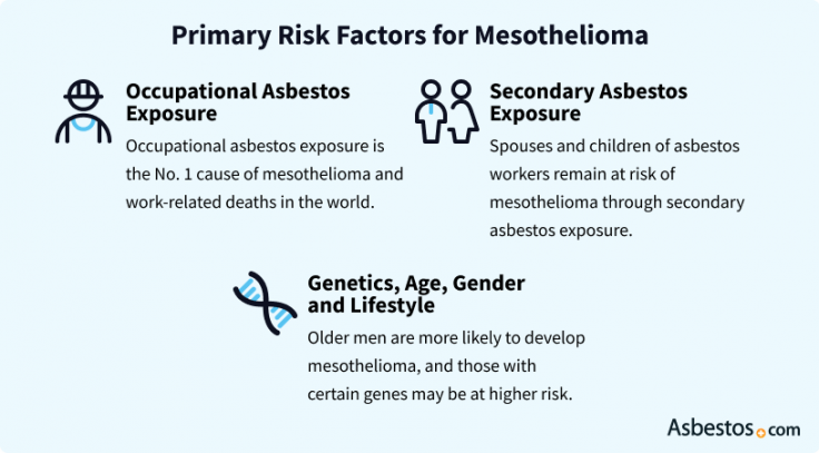 Primary risk factors for mesothelioma cancer
