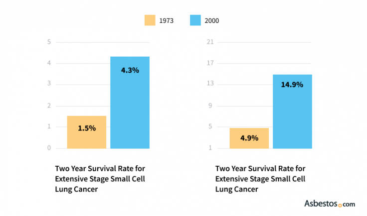 Survival rate small cell lung cancers bar graphs