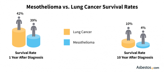 Survival Rates for Lung Cancer & Mesothelioma Patients