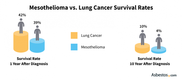 Survival Rates for Lung Cancer & Mesothelioma Patients