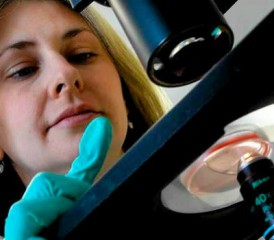 Female researcher using microscope
