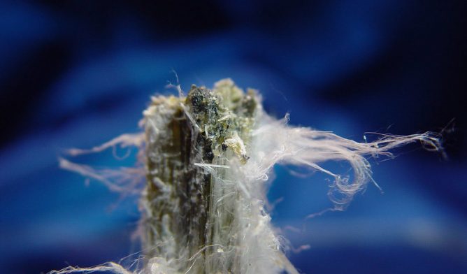 Raw chrysotile asbestos