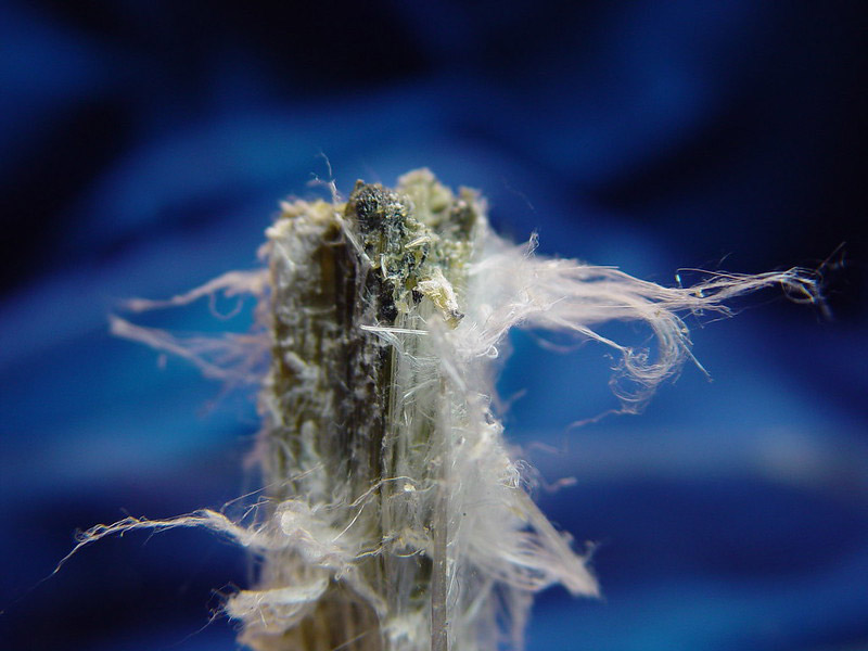 Raw chrysotile asbestos