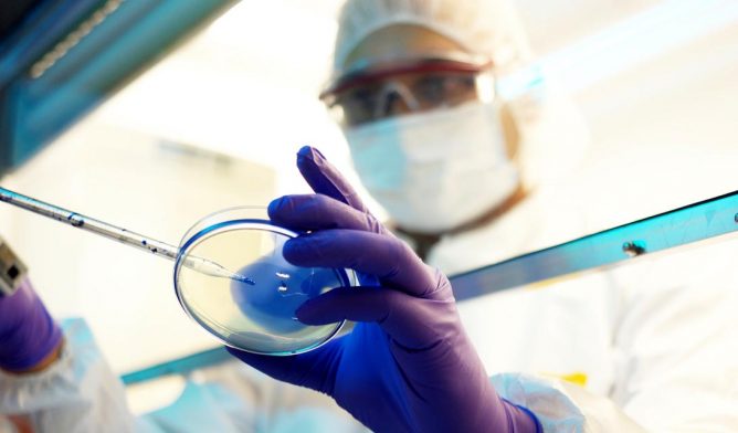 Researcher holds a Petri dish