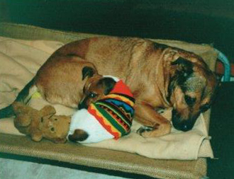 Rufus sleeping with Ben
