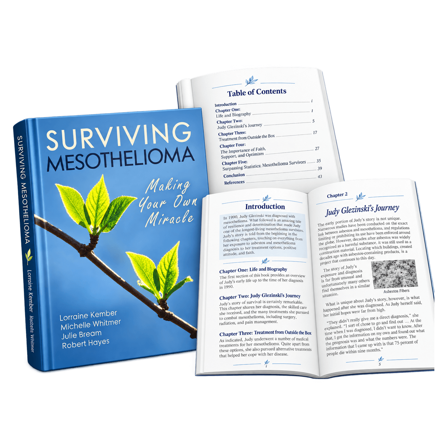 Surviving Mesothelioma book