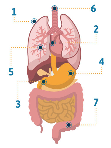 Mesothelioma Symptoms: Asbestos Cancer Warning Signs